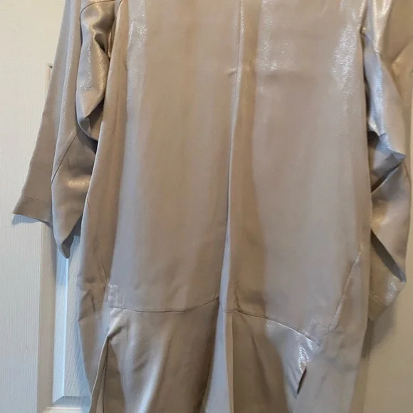 Silver dress - Picture 4 of 7